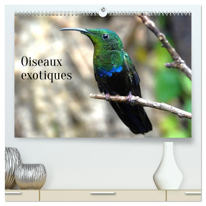 Oiseaux exotiques (CALVENDO Calendrier supérieur 2026)