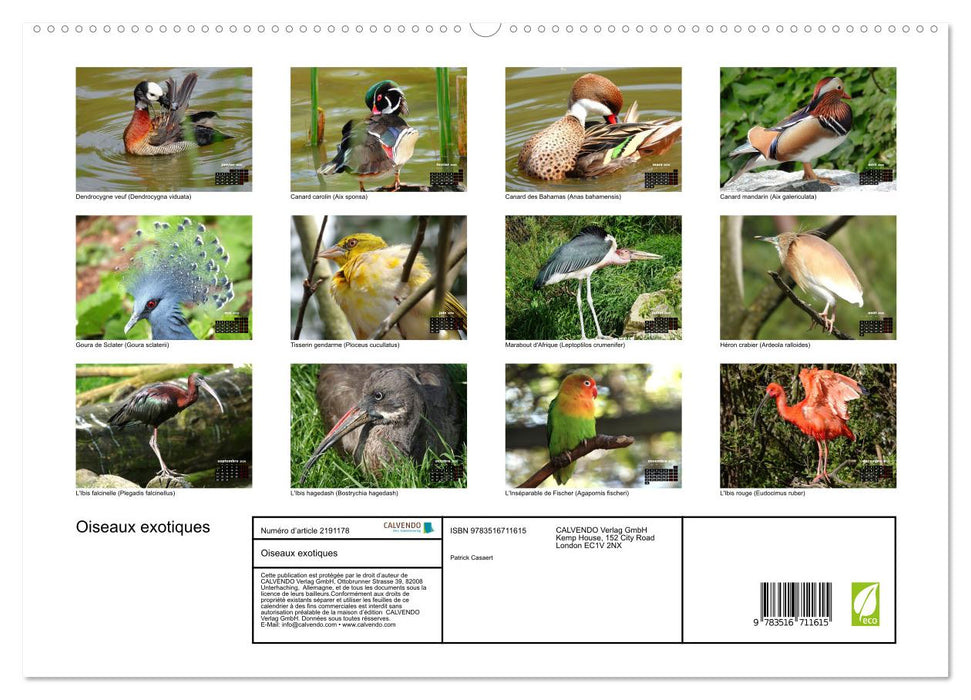 Oiseaux exotiques (CALVENDO Calendrier supérieur 2026)