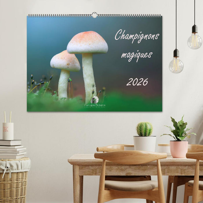 Champignons magiques (CALVENDO Calendrier mensuel 2026)