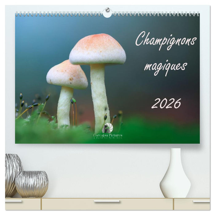 Champignons magiques (CALVENDO Calendrier supérieur 2026)