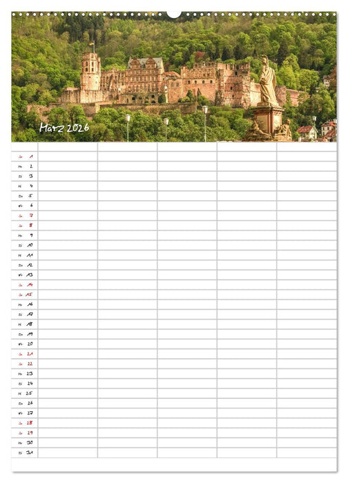 Heidelberger Familienkalender (CALVENDO Wandkalender 2026)