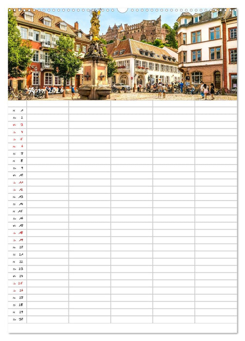 Heidelberger Familienkalender (CALVENDO Wandkalender 2026)