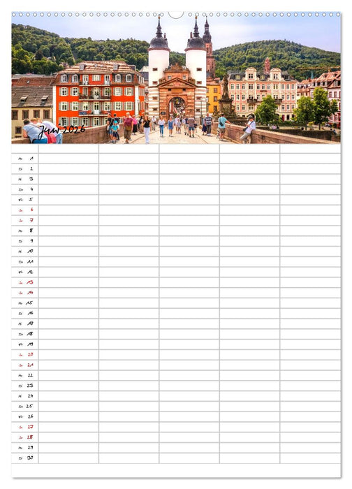 Heidelberger Familienkalender (CALVENDO Wandkalender 2026)