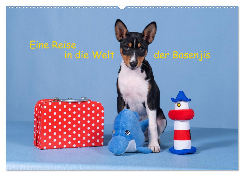 Eine Reise in die Welt der Basenjis (CALVENDO Wandkalender 2026)