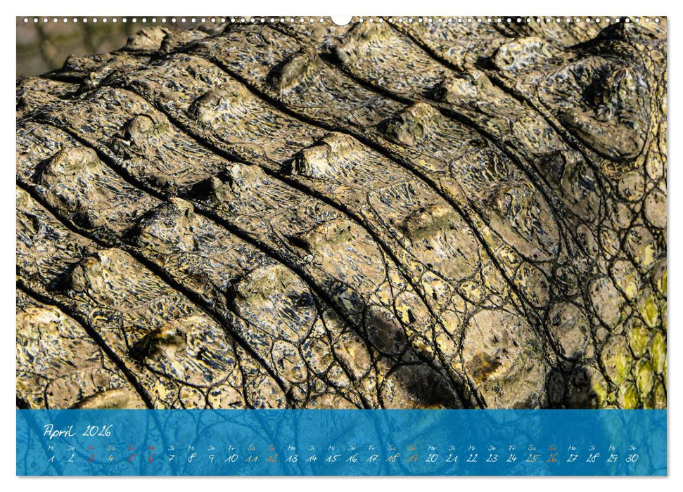 Natur abstrakt Farben und Strukturen (CALVENDO Wandkalender 2026)