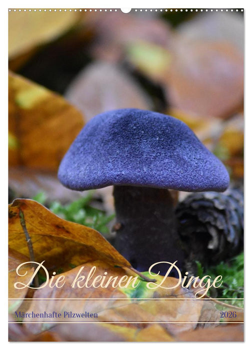 Die kleinen Dinge - märchenhafte Pilzwelten (CALVENDO Wandkalender 2026)