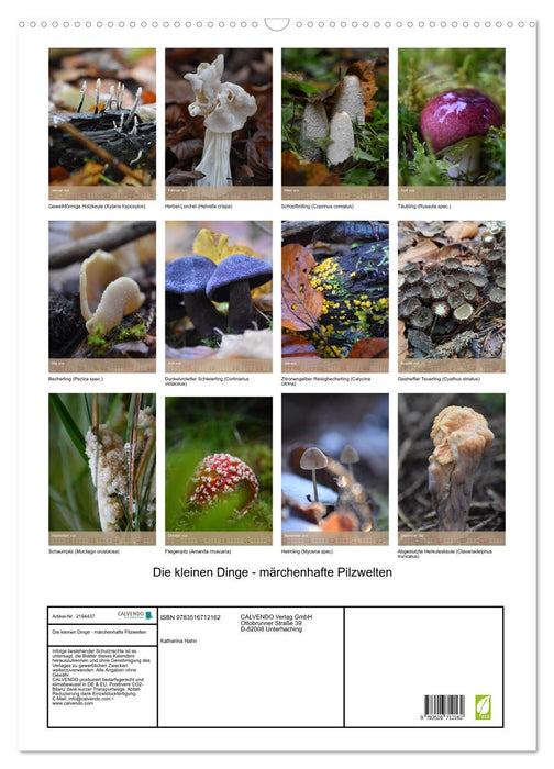 Die kleinen Dinge - märchenhafte Pilzwelten (CALVENDO Wandkalender 2026)