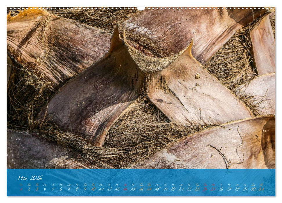Natur abstrakt Farben und Strukturen (CALVENDO Premium Wandkalender 2026)