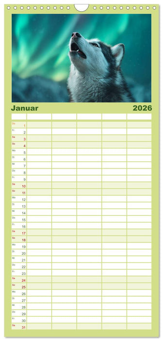 Hundeglück (CALVENDO Familienplaner 2026)