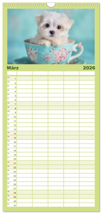 Hundeglück (CALVENDO Familienplaner 2026)