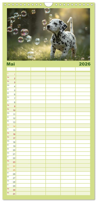 Hundeglück (CALVENDO Familienplaner 2026)