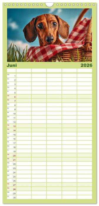 Hundeglück (CALVENDO Familienplaner 2026)