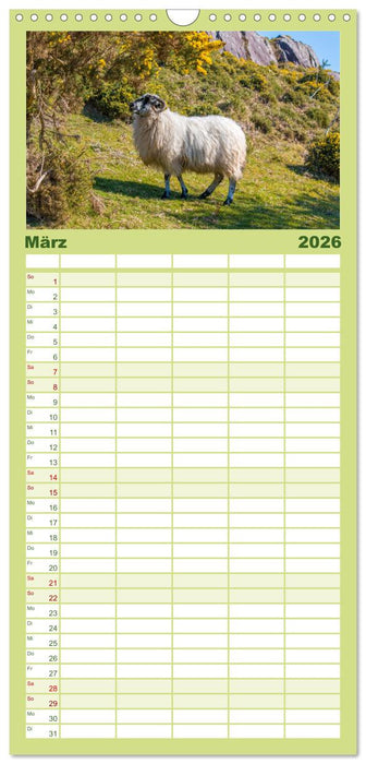 Kerry - Die grüne Perle Irlands (CALVENDO Familienplaner 2026)