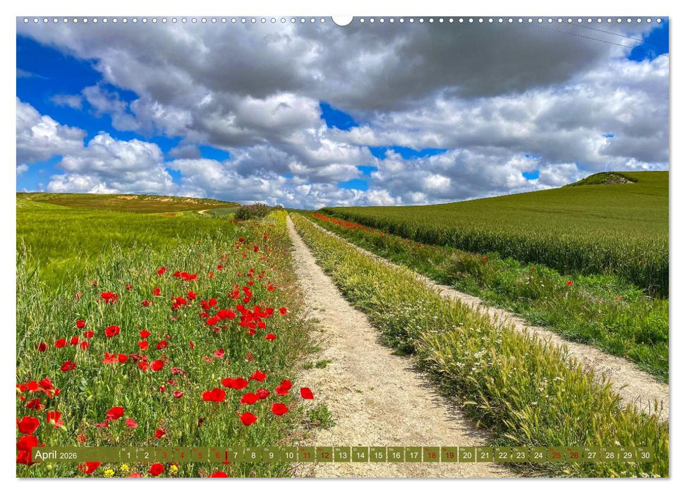 Augenblicke der Ruhe (CALVENDO Wandkalender 2026)