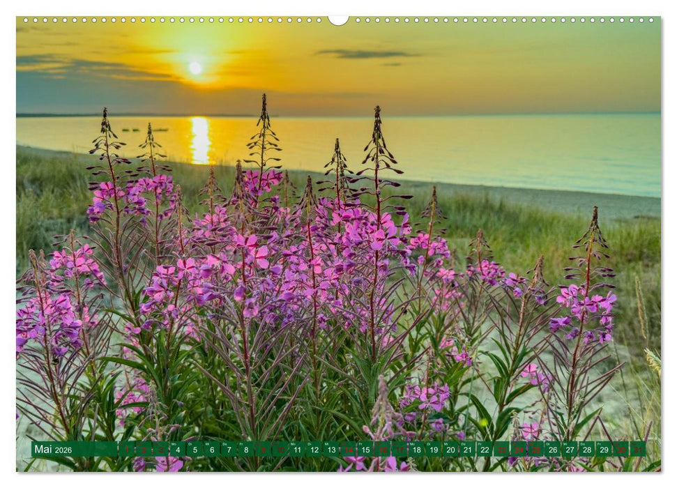 Augenblicke der Ruhe (CALVENDO Wandkalender 2026)