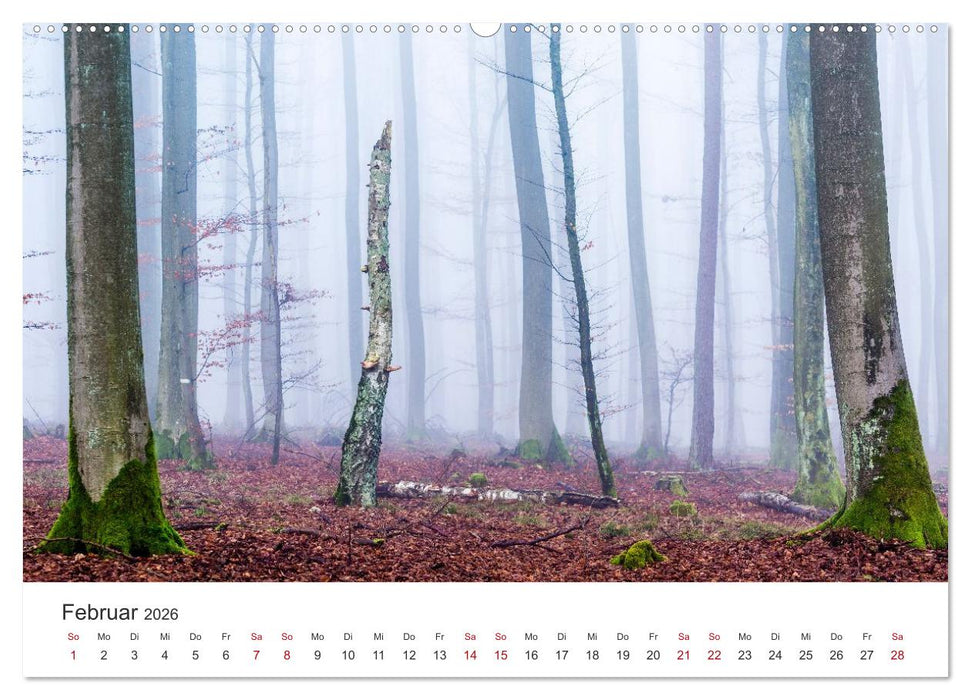 Im Deutschen Wald (CALVENDO Wandkalender 2026)