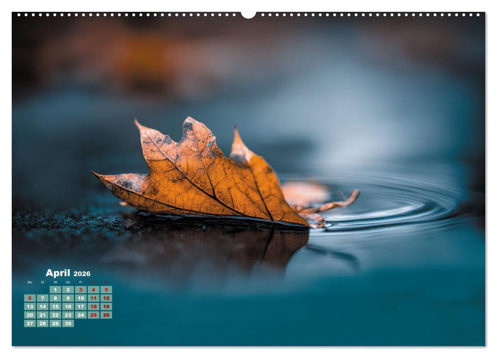 Herbstgeflüster - Farben, die vom Wind erzählen (CALVENDO Premium Wandkalender 2026)