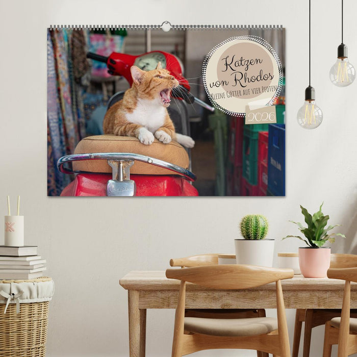Katzen von Rhodos - Kleine Götter auf vier Pfoten (CALVENDO Wandkalender 2026)