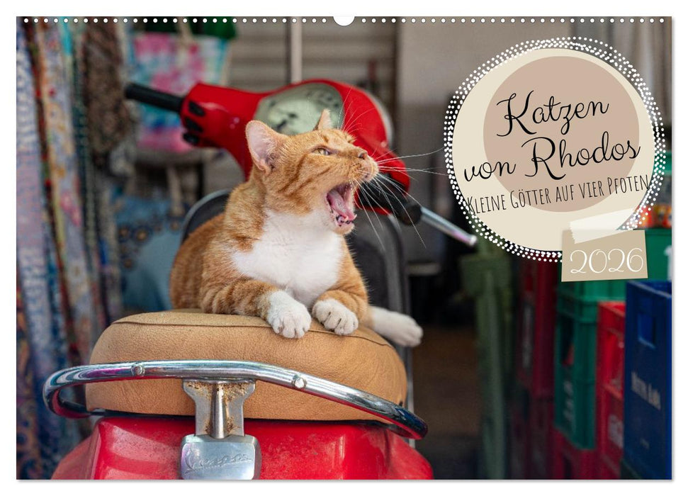 Katzen von Rhodos - Kleine Götter auf vier Pfoten (CALVENDO Wandkalender 2026)