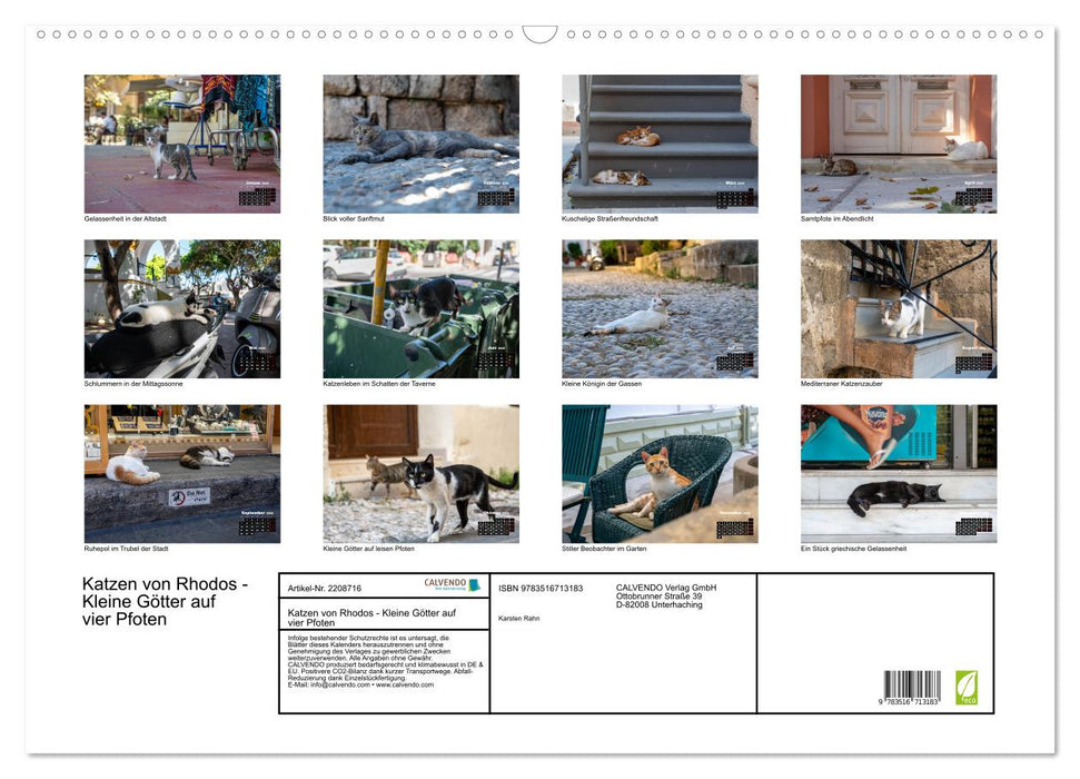 Katzen von Rhodos - Kleine Götter auf vier Pfoten (CALVENDO Wandkalender 2026)