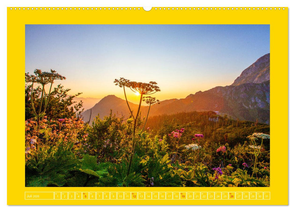 Schöne Grüße aus Hallein (CALVENDO Premium Wandkalender 2026)