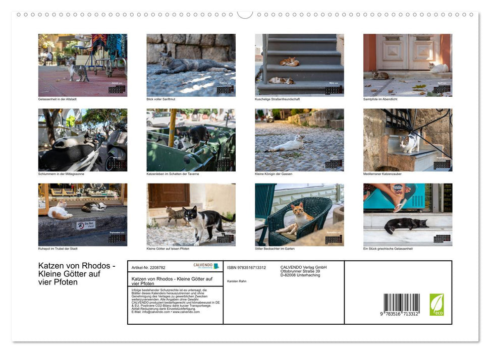 Katzen von Rhodos - Kleine Götter auf vier Pfoten (CALVENDO Premium Wandkalender 2026)
