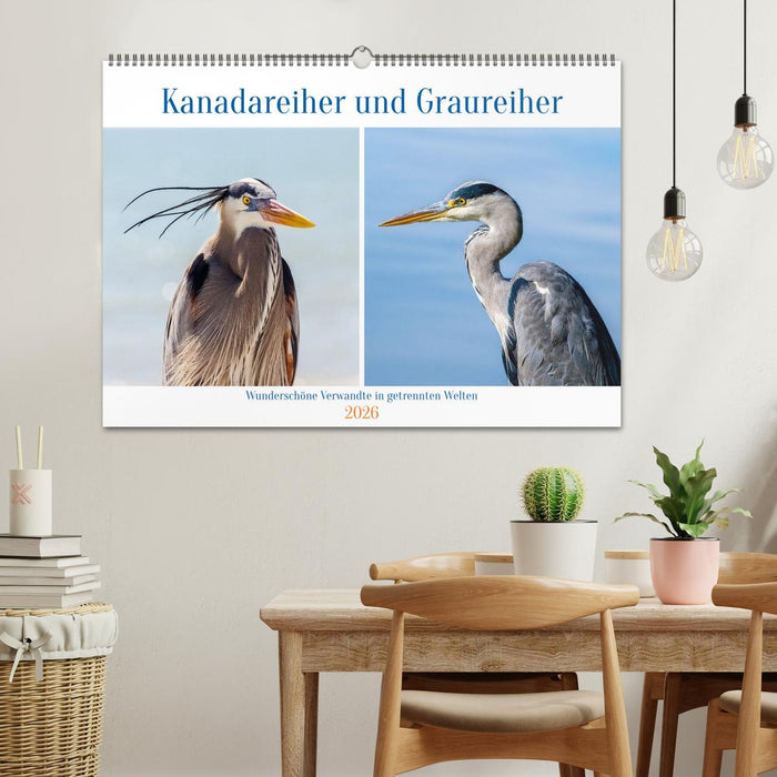 Kanadareiher und Graureiher (CALVENDO Wandkalender 2026)