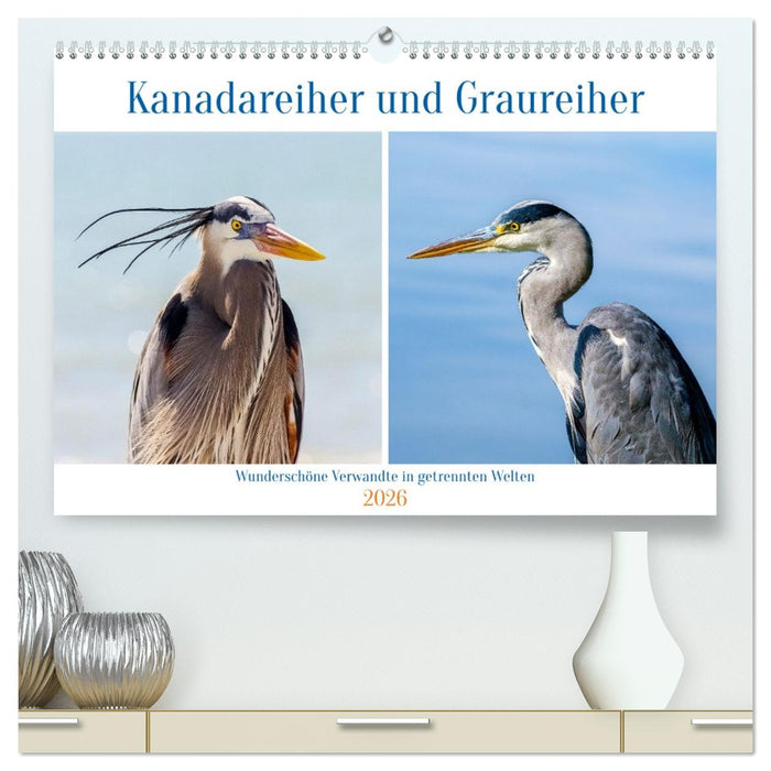 Kanadareiher und Graureiher (CALVENDO Premium Wandkalender 2026)