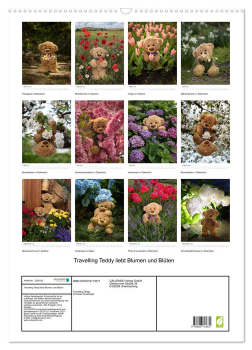 Travelling Teddy liebt Blumen und Blüten (CALVENDO Wandkalender 2026)