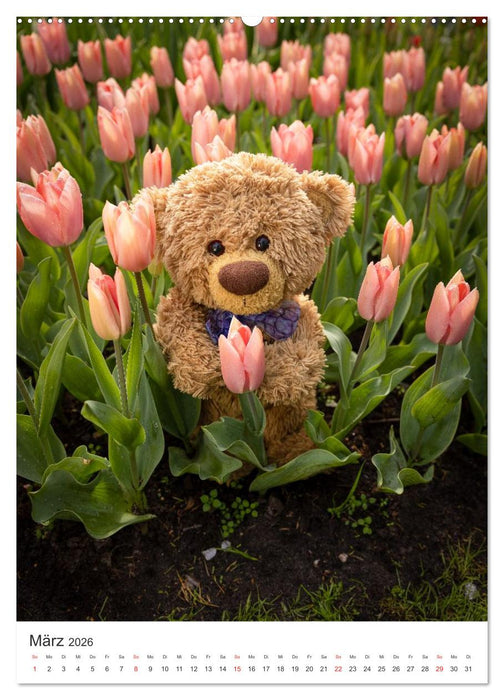 Travelling Teddy liebt Blumen und Blüten (CALVENDO Wandkalender 2026)
