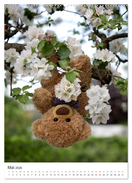 Travelling Teddy liebt Blumen und Blüten (CALVENDO Wandkalender 2026)