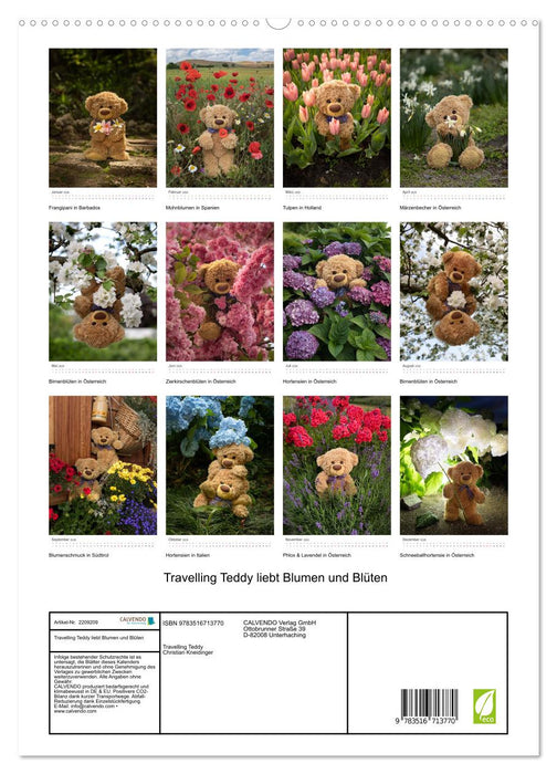 Travelling Teddy liebt Blumen und Blüten (CALVENDO Premium Wandkalender 2026)