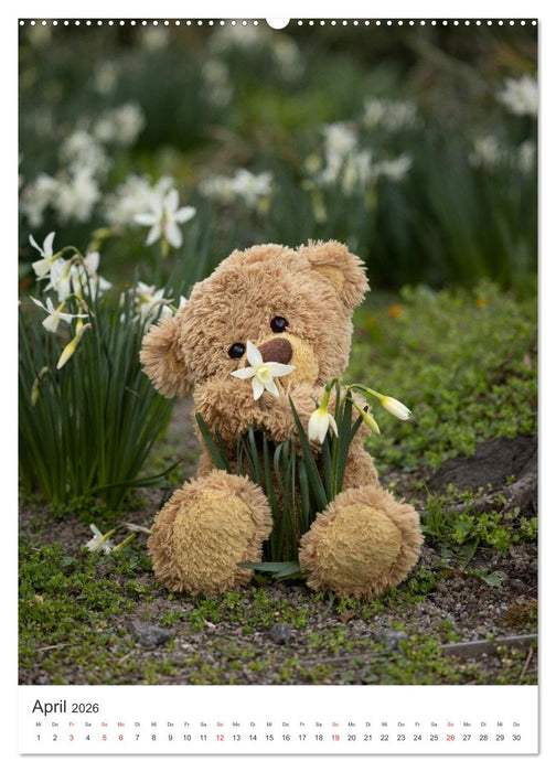 Travelling Teddy liebt Blumen und Blüten (CALVENDO Premium Wandkalender 2026)