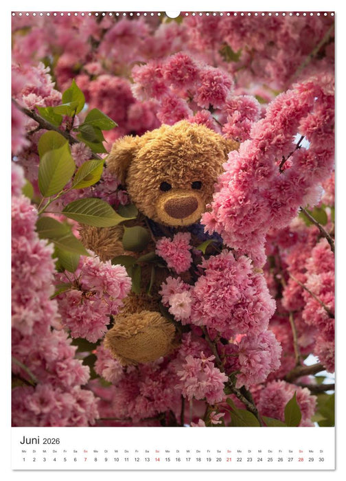 Travelling Teddy liebt Blumen und Blüten (CALVENDO Premium Wandkalender 2026)