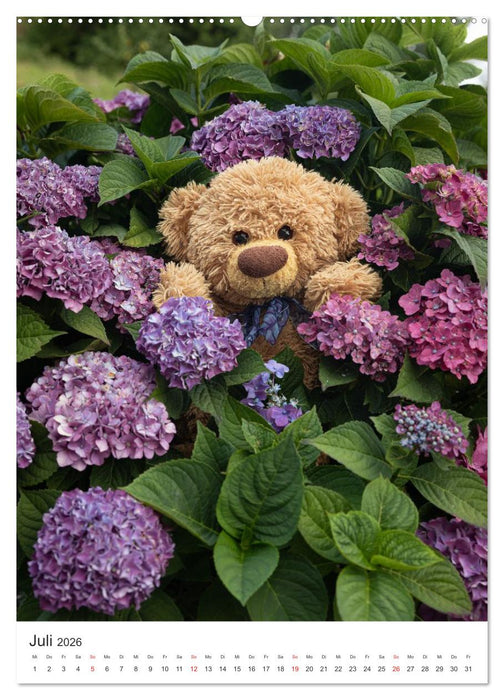 Travelling Teddy liebt Blumen und Blüten (CALVENDO Premium Wandkalender 2026)