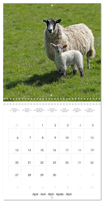 The Cotswolds - Idyllic part of England (CALVENDO Monthly Calendar 2026)