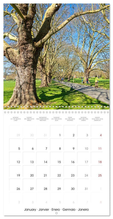 Cambridge - Historic city in eastern England (CALVENDO Monthly Calendar 2026)