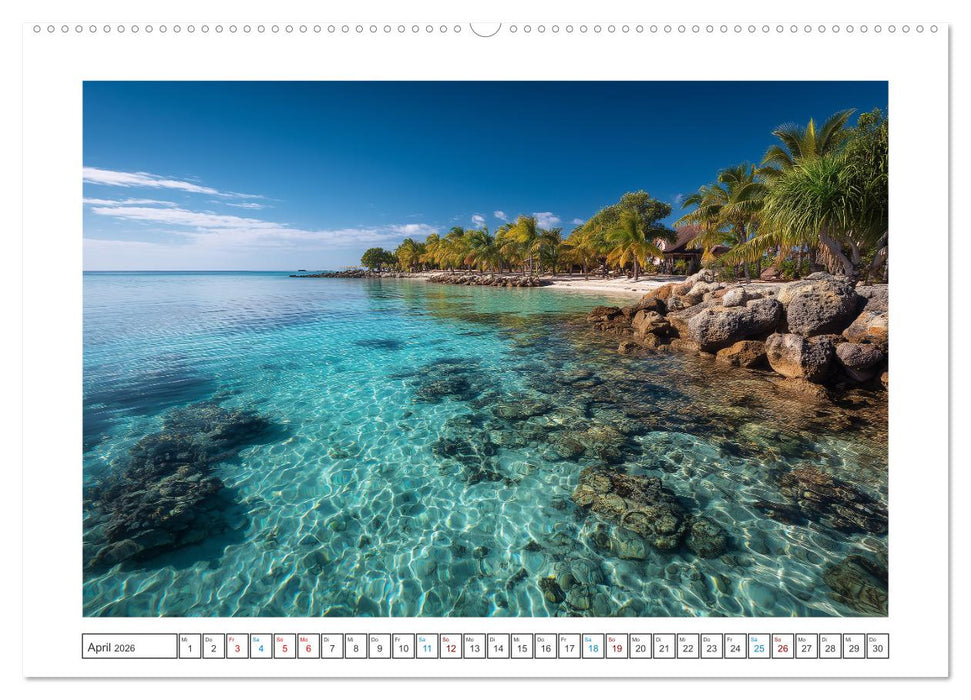 Die Magie des Meeres (CALVENDO Wandkalender 2026)