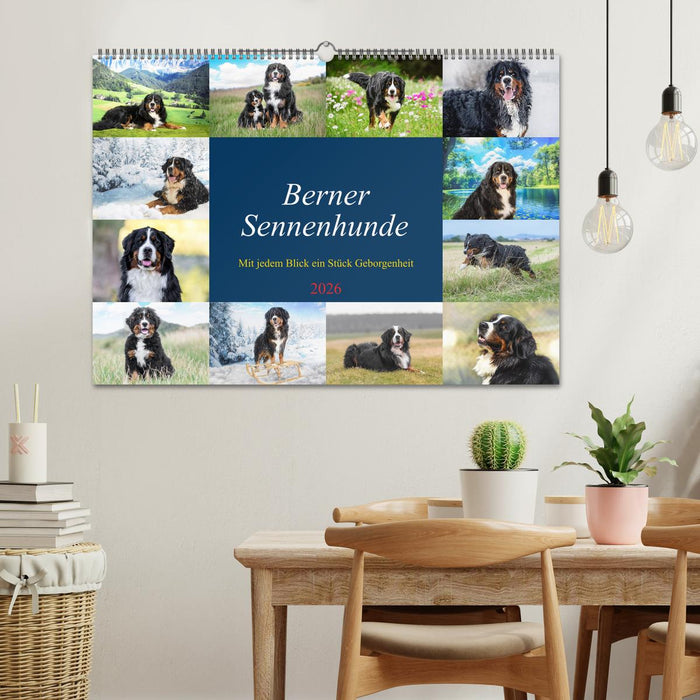 Berner Sennenhunde - Mit jedem Blick ein Stück Geborgenheit (CALVENDO Wandkalender 2026)
