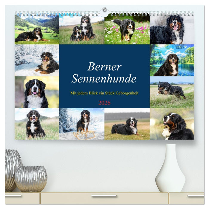 Berner Sennenhunde - Mit jedem Blick ein Stück Geborgenheit (CALVENDO Premium Wandkalender 2026)
