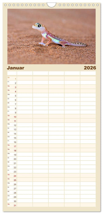 Namibias faszinierende Tierwelt (CALVENDO Familienplaner 2026)