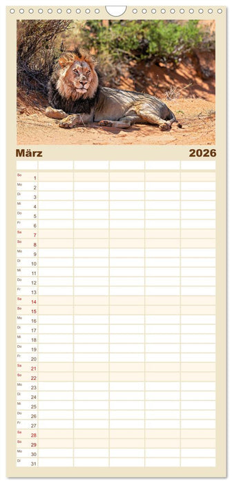 Namibias faszinierende Tierwelt (CALVENDO Familienplaner 2026)