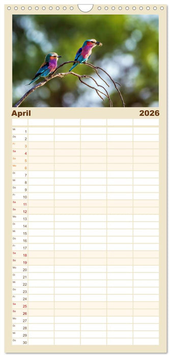 Namibias faszinierende Tierwelt (CALVENDO Familienplaner 2026)