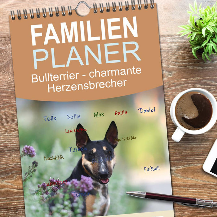 Bullterrier - charmante Herzensbrecher (CALVENDO Familienplaner 2026)