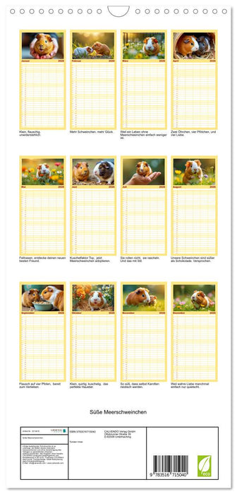Süße Meerschweinchen (CALVENDO Familienplaner 2026)