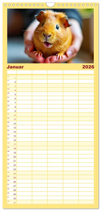 Süße Meerschweinchen (CALVENDO Familienplaner 2026)