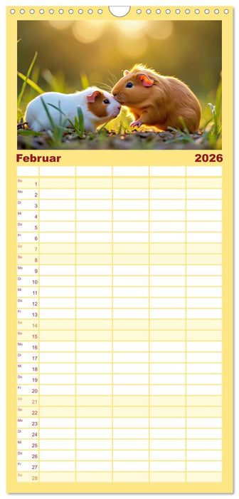 Süße Meerschweinchen (CALVENDO Familienplaner 2026)