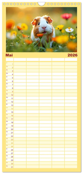 Süße Meerschweinchen (CALVENDO Familienplaner 2026)