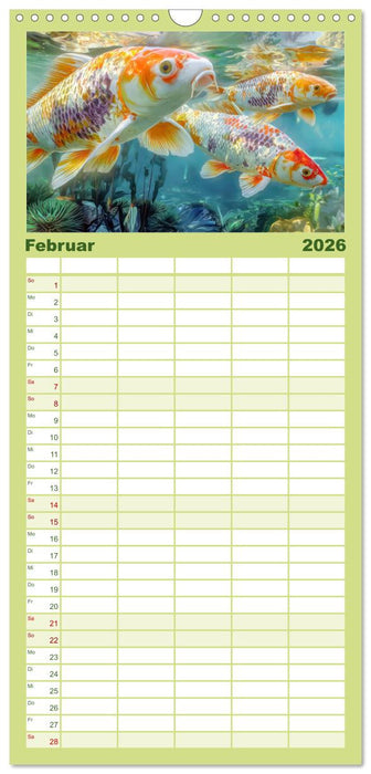 Kois - Ein Juwel unter Fischen (CALVENDO Familienplaner 2026)