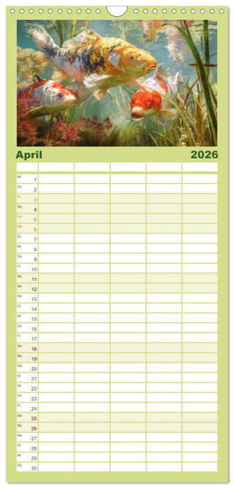 Kois - Ein Juwel unter Fischen (CALVENDO Familienplaner 2026)